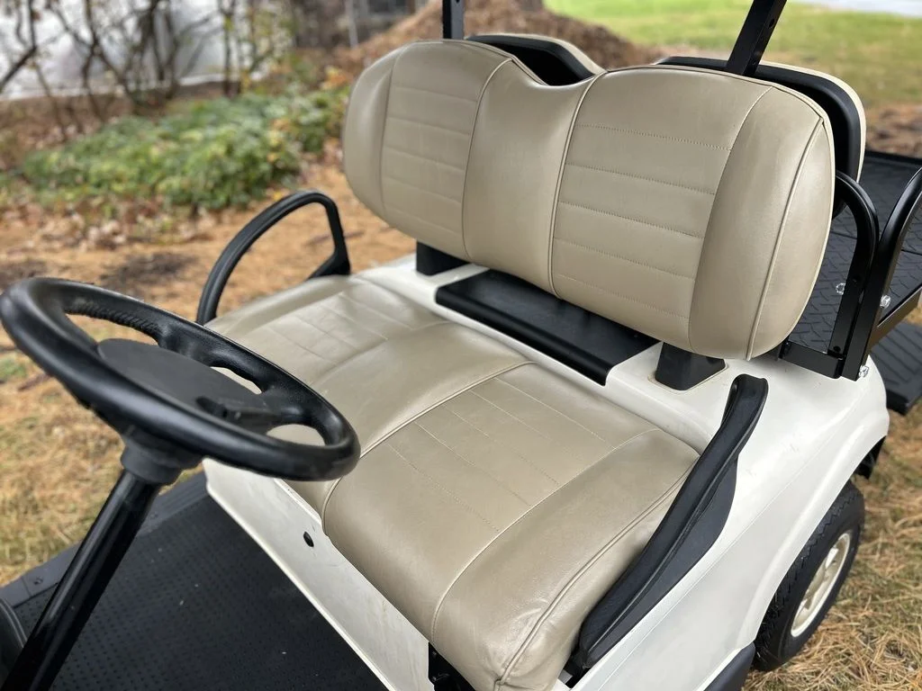 2019 E-Z-GO RXV photo 7