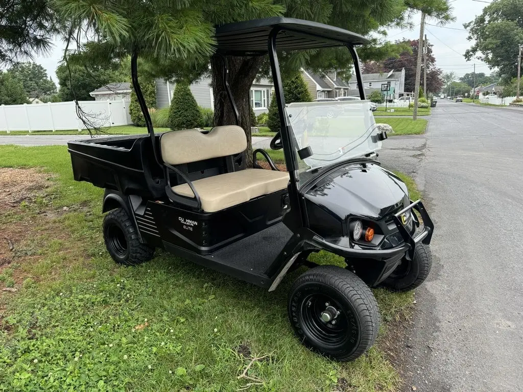 2024 Cushman Hauler PRO photo 3