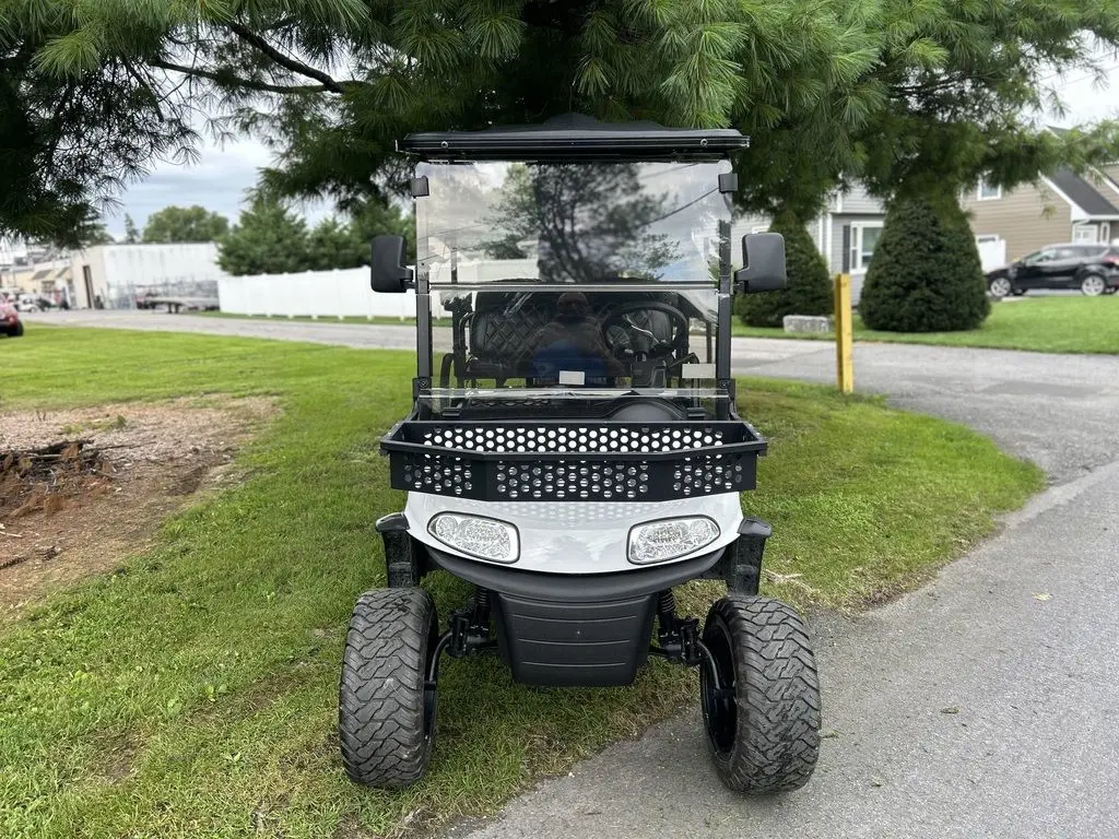 2018 E-Z-GO RXV photo 2