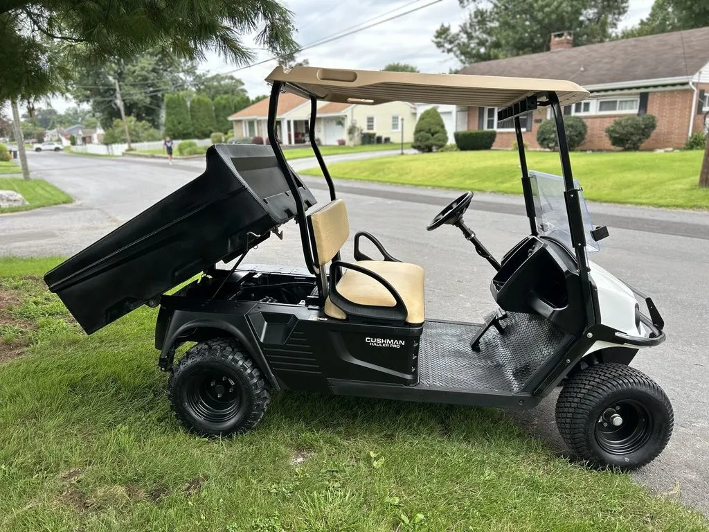 2020 Cushman Hauler PRO photo 4