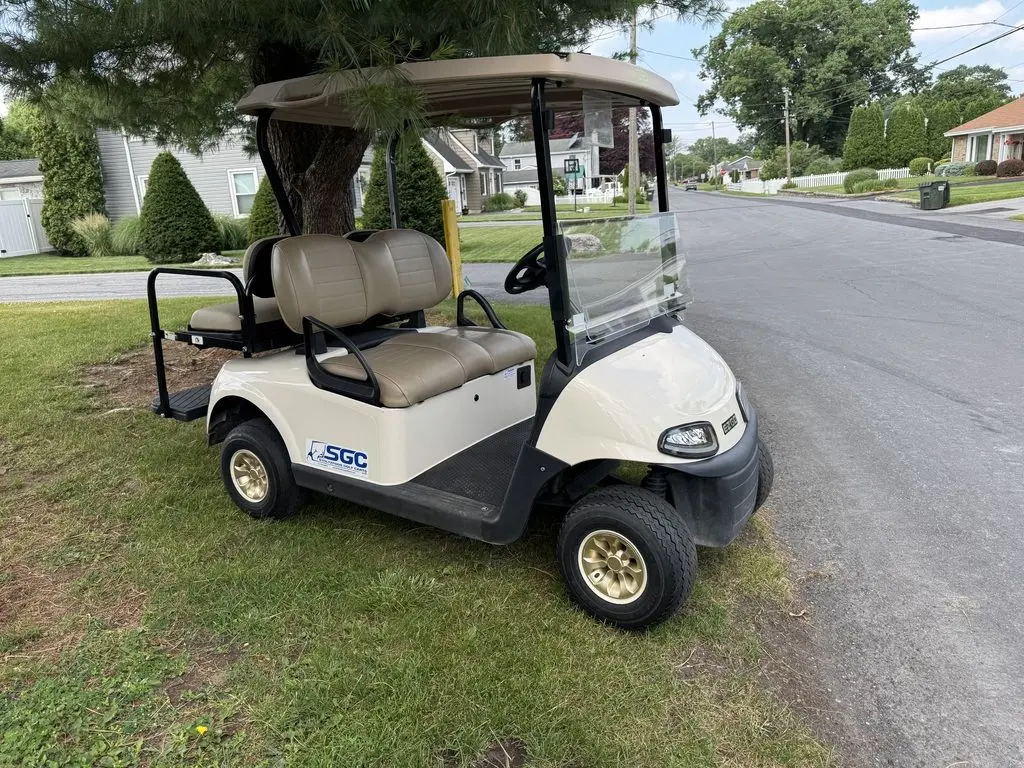 2019 E-Z-GO RXV photo 3