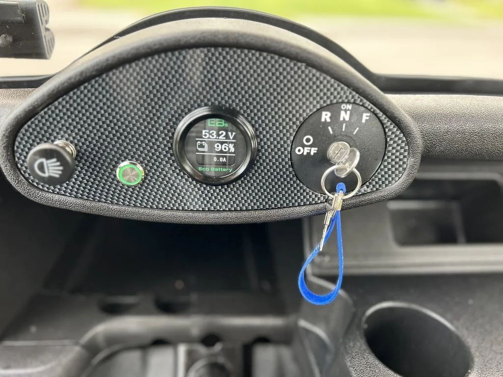 2019 E-Z-GO RXV photo 9