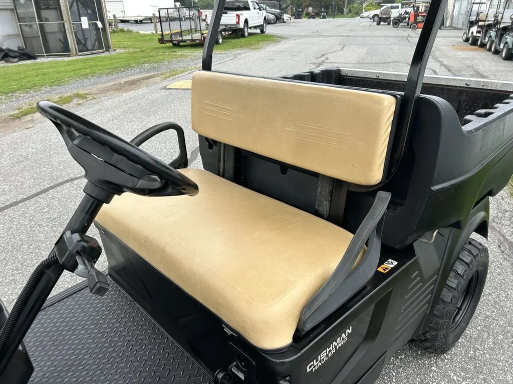 2020 Cushman Hauler PRO photo 6
