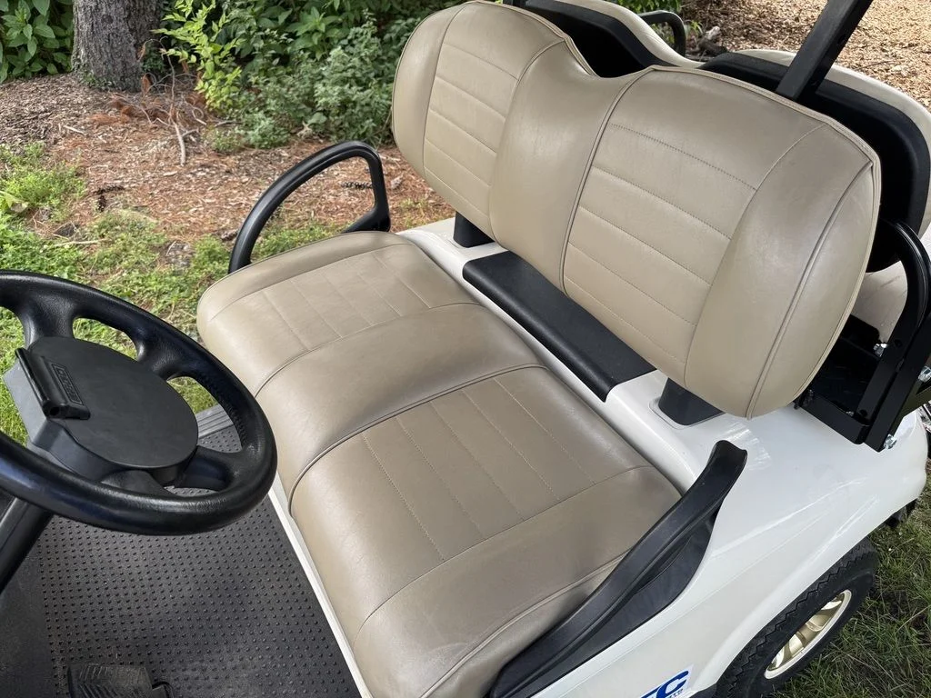 2019 E-Z-GO RXV photo 11