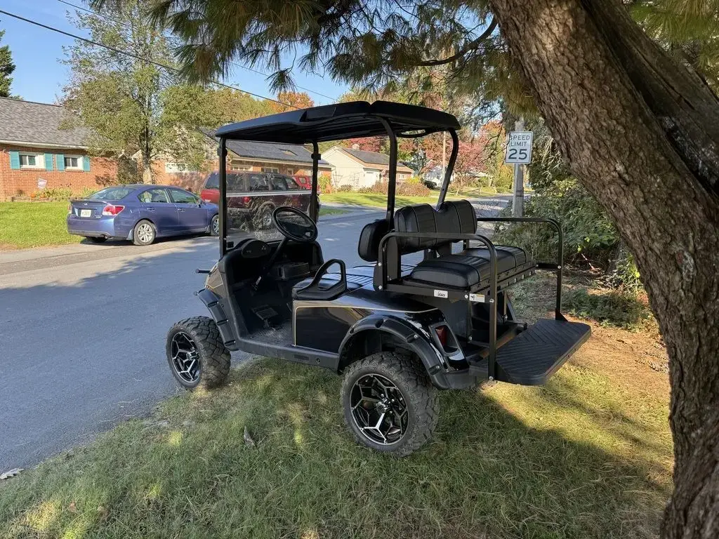 2018 E-Z-GO RXV photo 6
