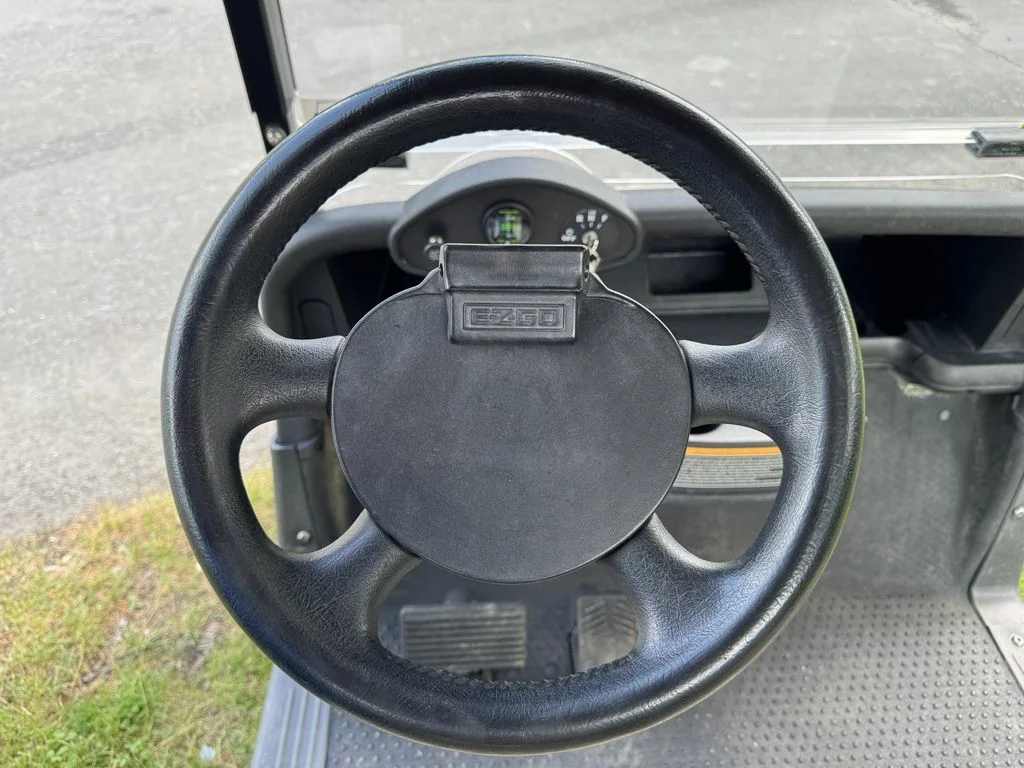 2019 E-Z-GO RXV photo 12