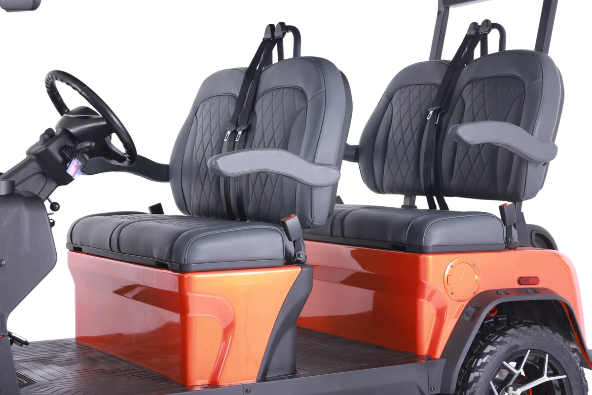 2026 Denago Rover XL photo 6