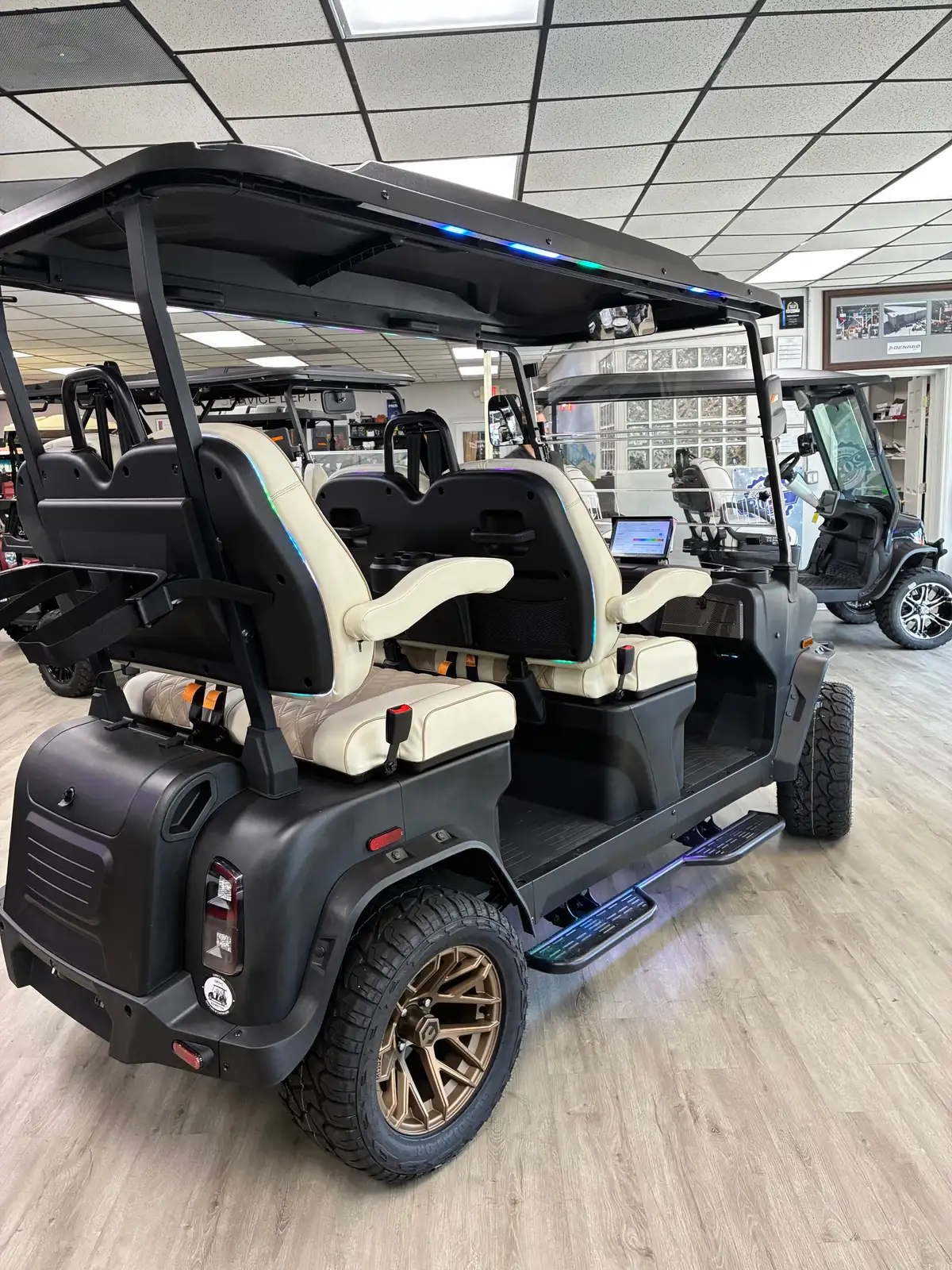 2026 Denago Rover XL photo 7
