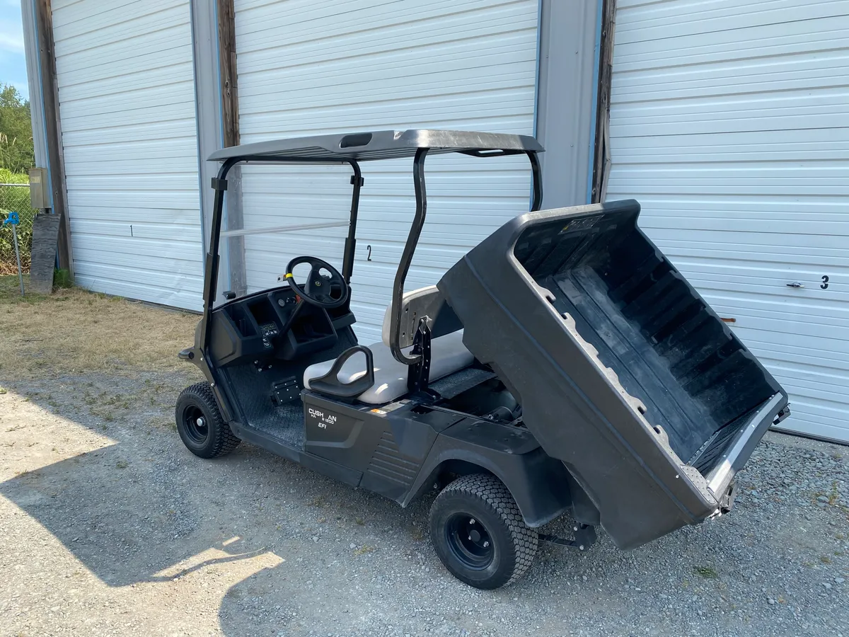 2020 Cushman Hauler 1200 Base photo 4
