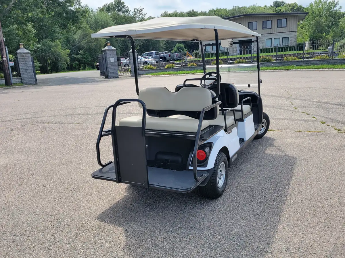 2020 Yamaha Concierge 6 Passenger photo 5