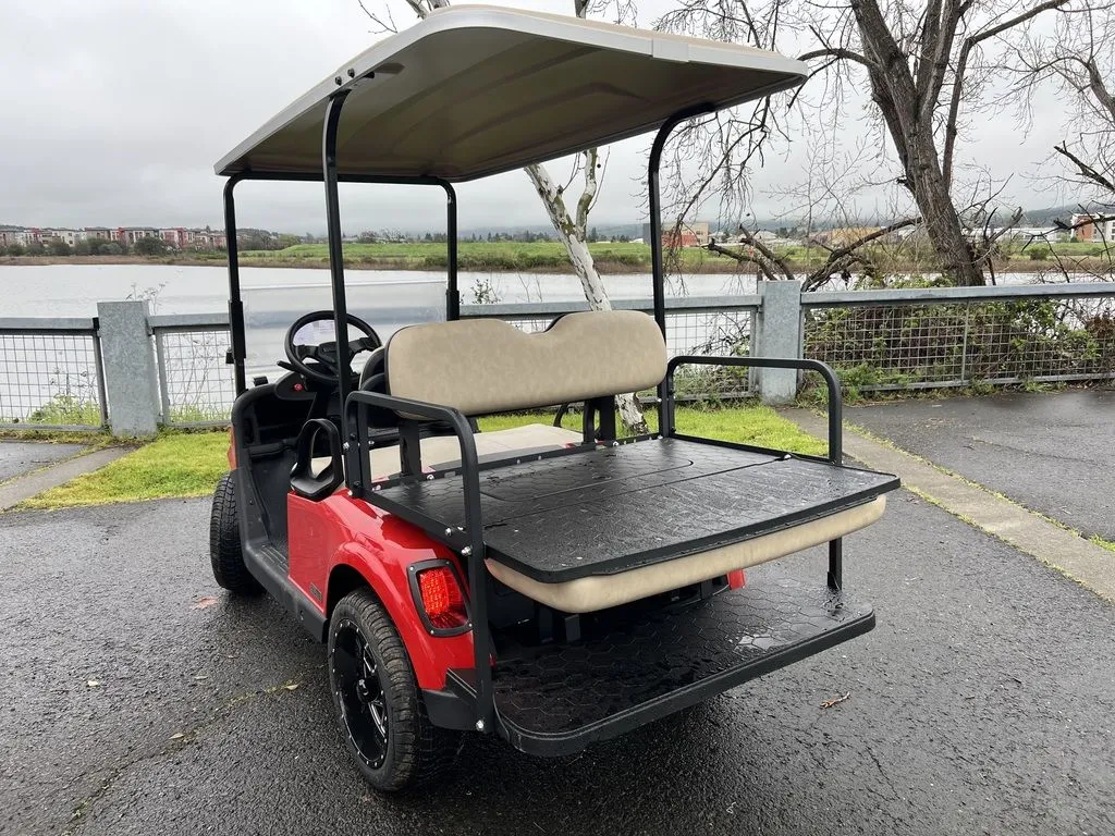 2020 E-Z-GO Freedom photo 2