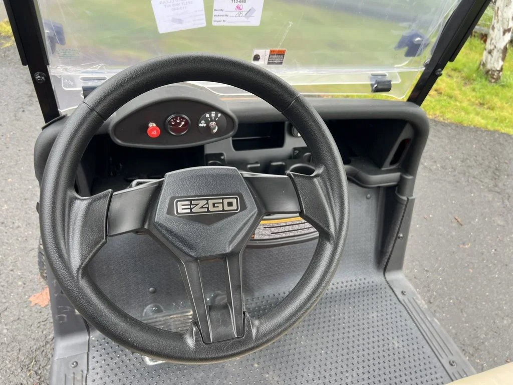 2020 E-Z-GO Freedom photo 4