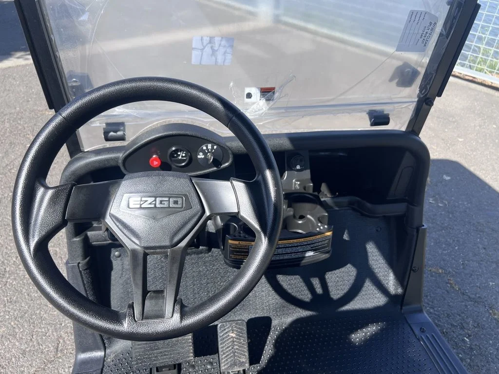 2020 E-Z-GO Freedom ELiTE Lithium photo 4