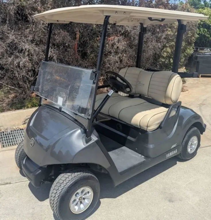 2021 Yamaha Drive2 photo 1