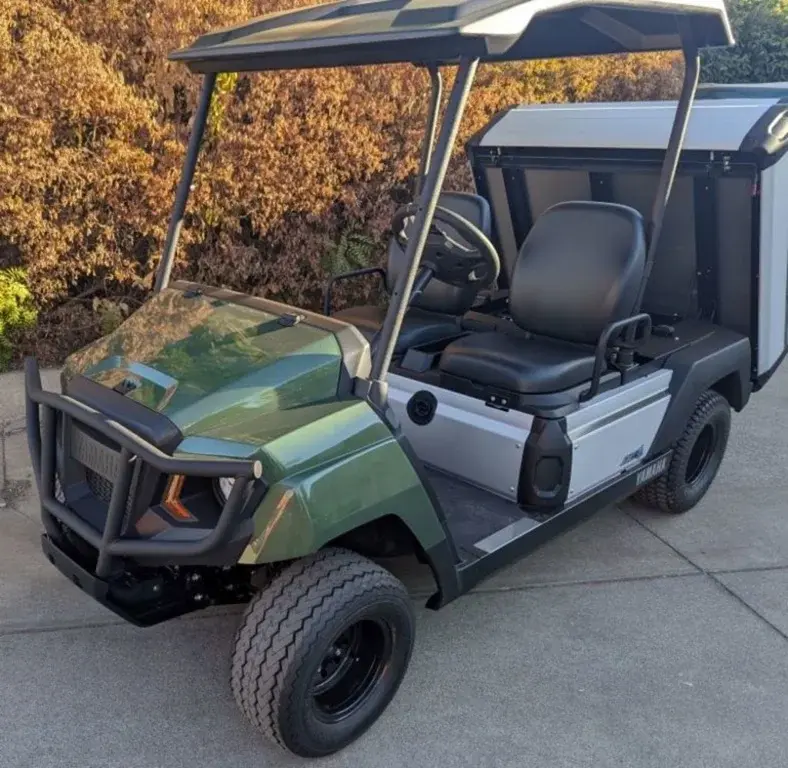 2025 Yamaha UMAX photo 2