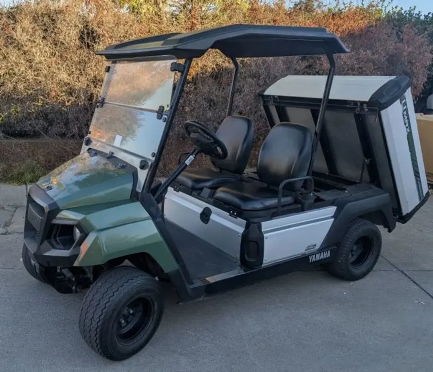 2019 Yamaha UMAX photo 1