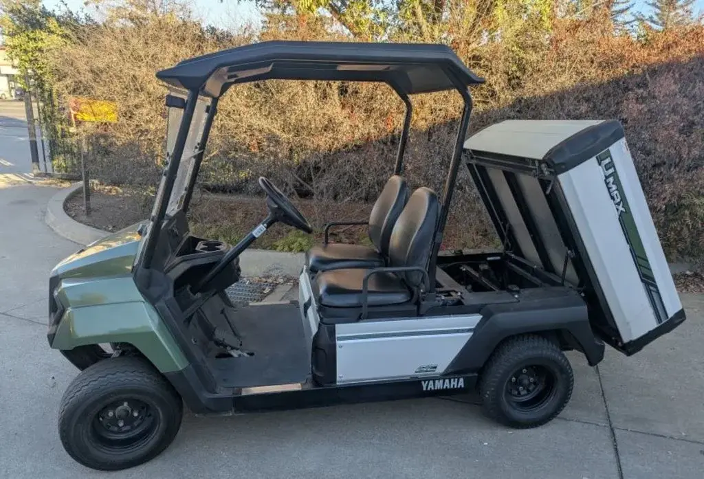 2019 Yamaha UMAX photo 2