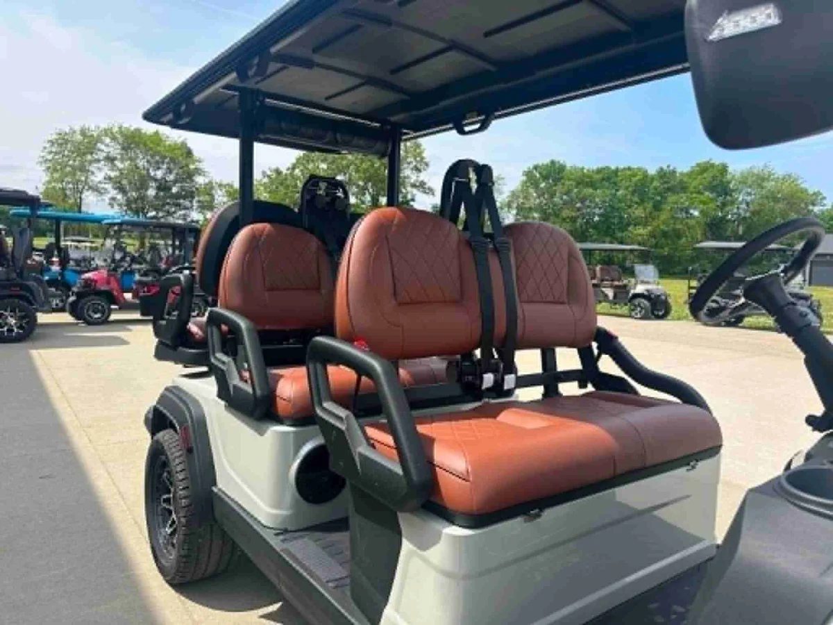 2026 ICON i60LX photo 13
