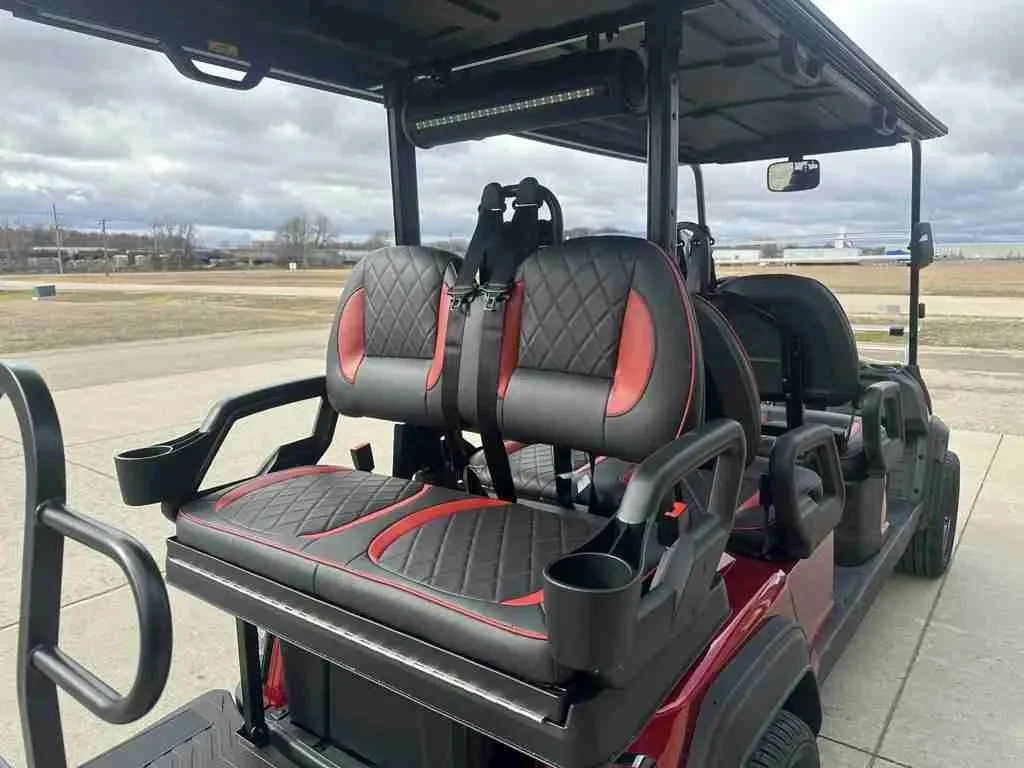 2026 ICON i60LX photo 5