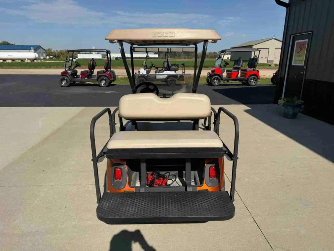 2010 E-Z-GO RXV photo 5
