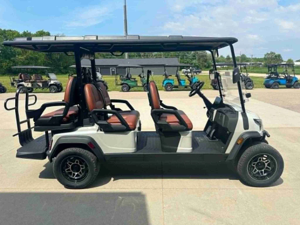 2026 ICON i60LX photo 10