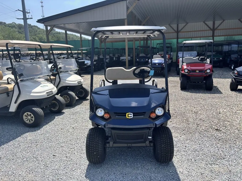 2025 Cushman Hauler 1200 photo 3