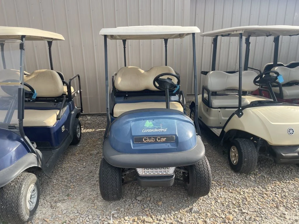 2016 Club Car Precedent Gas photo 3