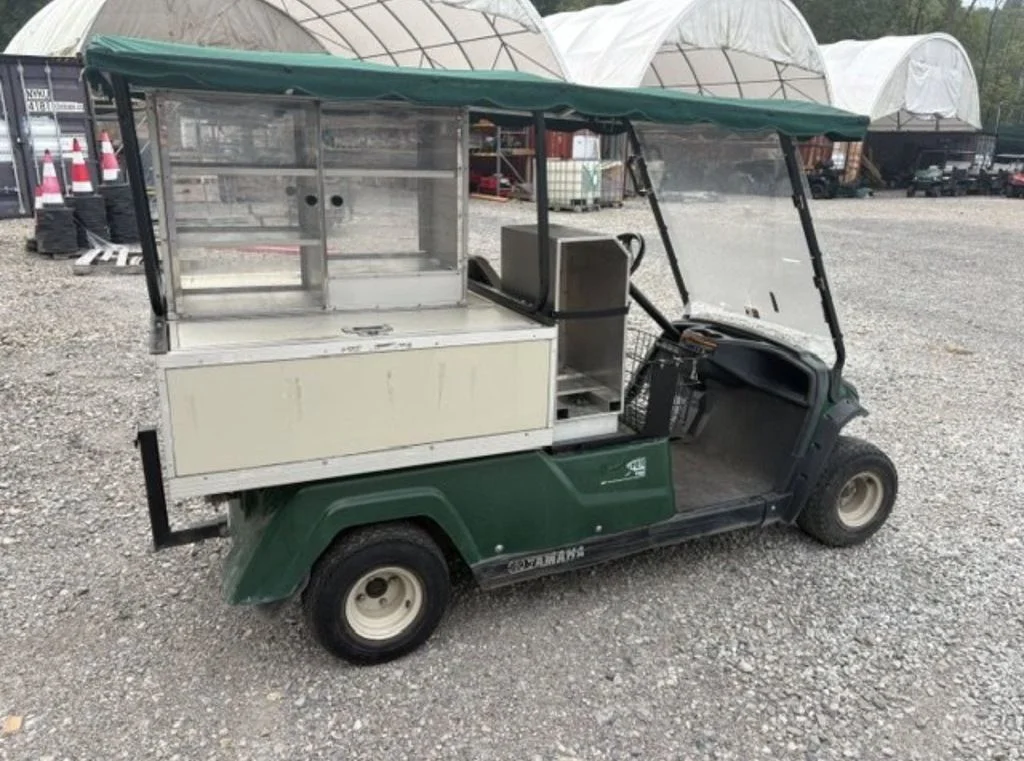 2013 Yamaha Fairway Lounge photo 4