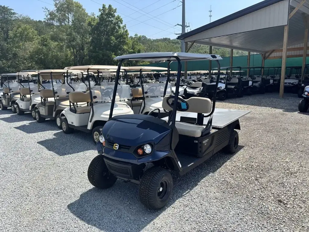 2025 Cushman Hauler 1200 photo 1