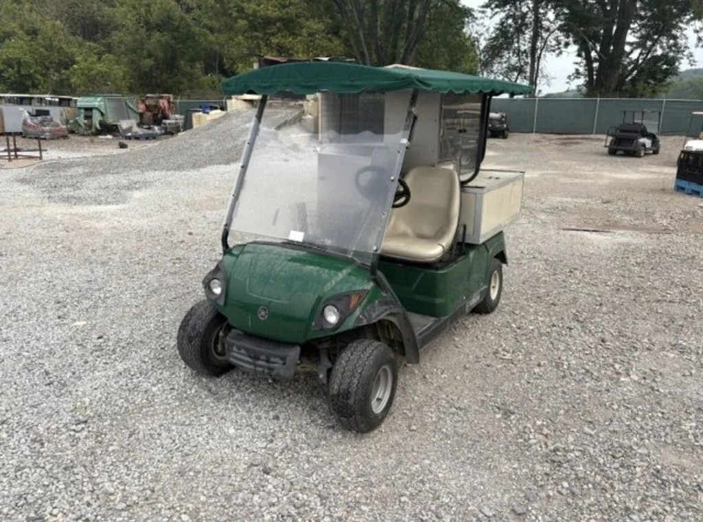 2013 Yamaha Fairway Lounge photo 1