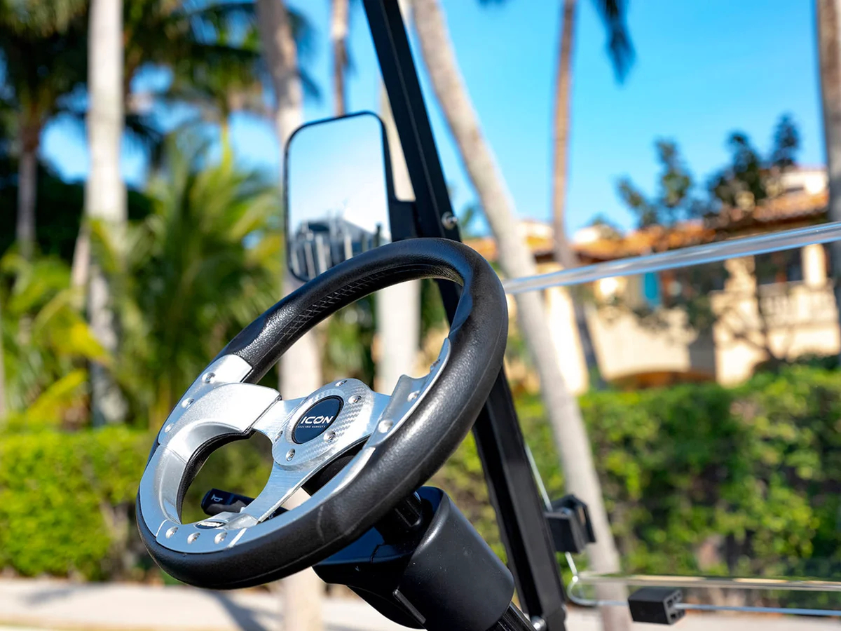 2025 ICON G40L photo 11