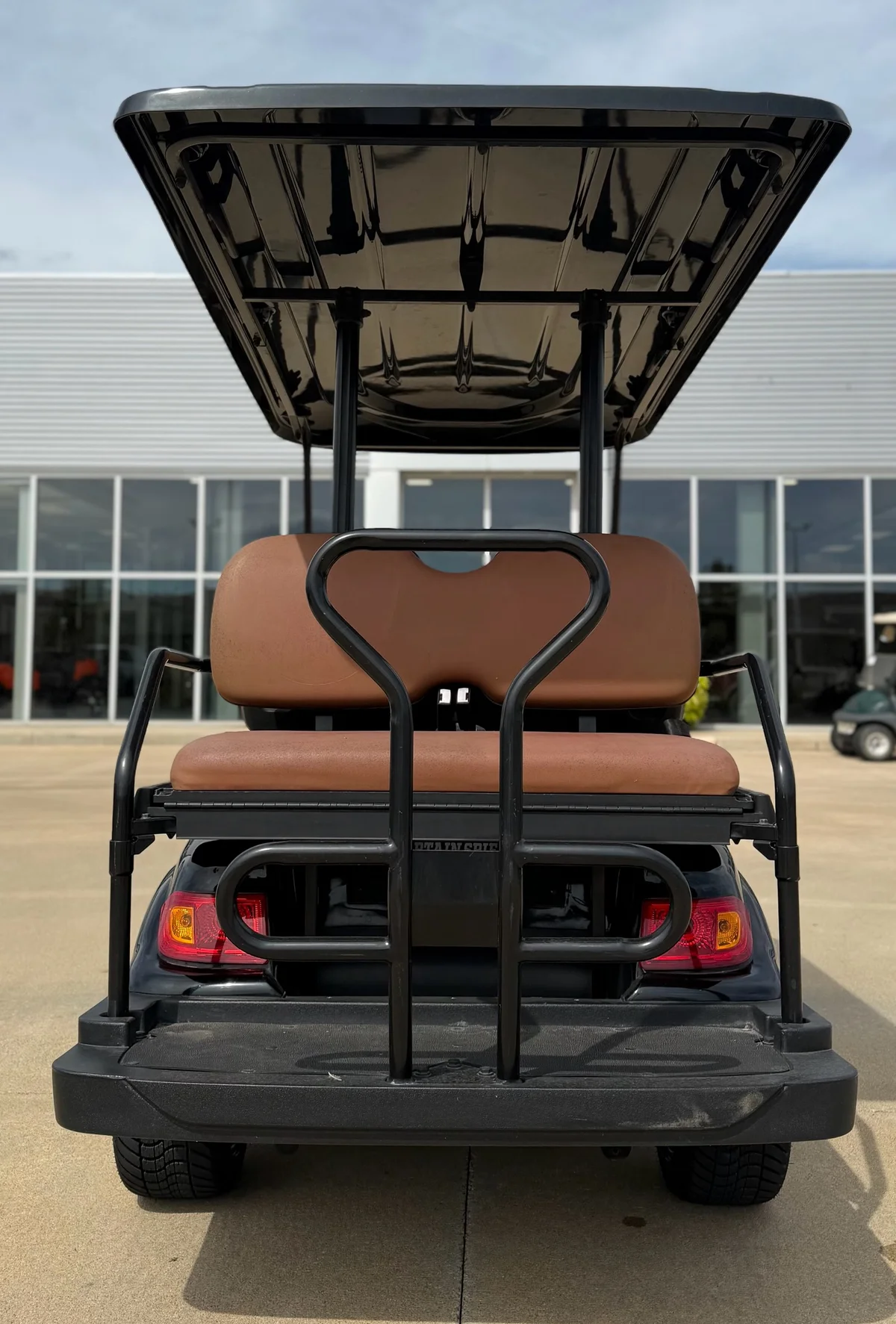 2020 Advanced EV EV1 4 Passenger photo 10