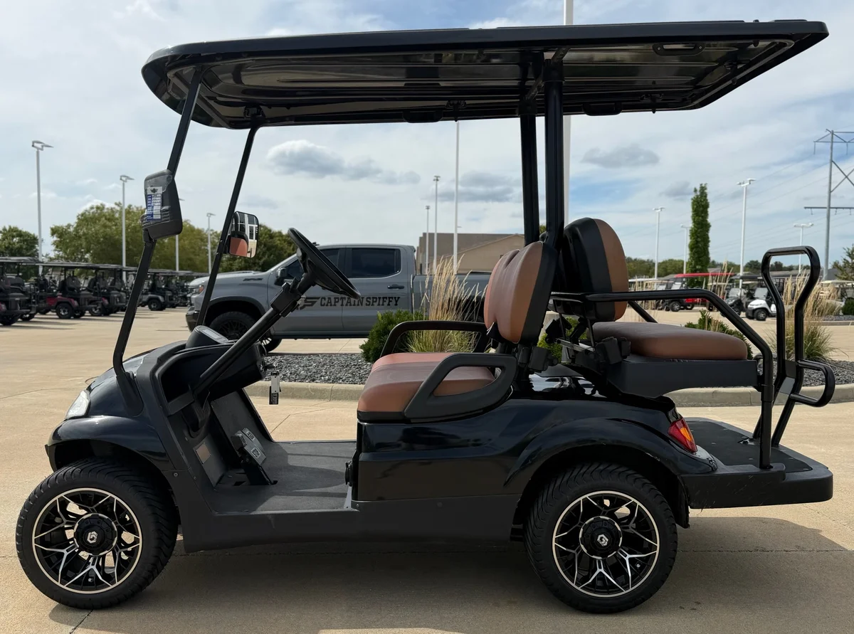 2020 Advanced EV EV1 4 Passenger photo 9