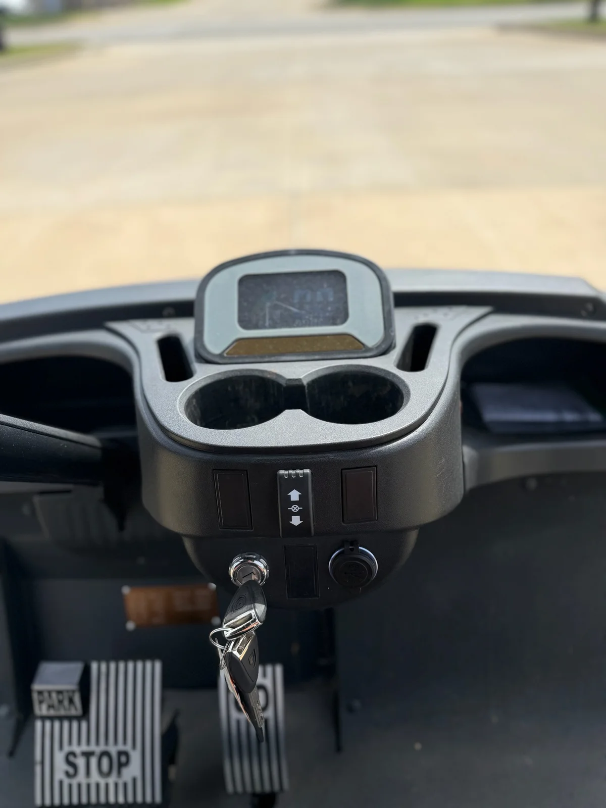 2020 Advanced EV EV1 4 Passenger photo 11