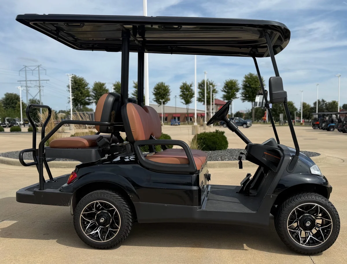 2020 Advanced EV EV1 4 Passenger photo 8