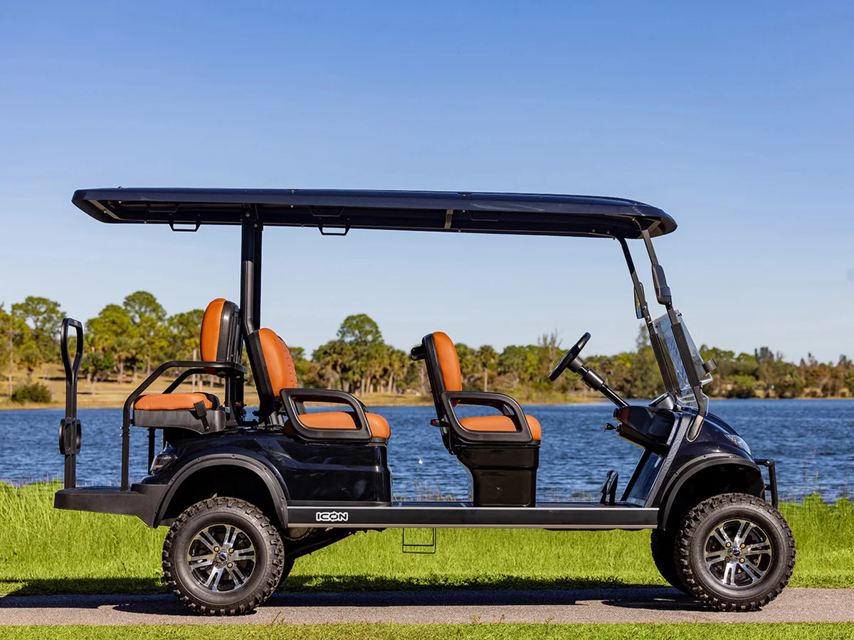 2025 ICON G60L photo 18