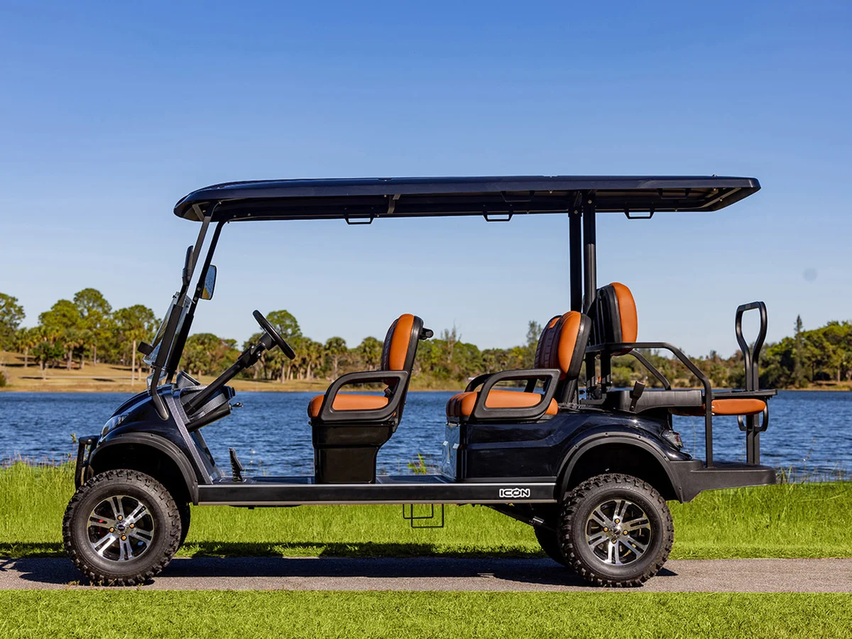 2025 ICON G60L photo 19