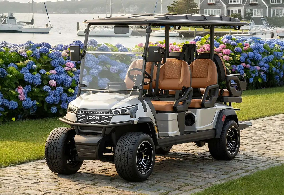 2026 ICON i60LX photo 17