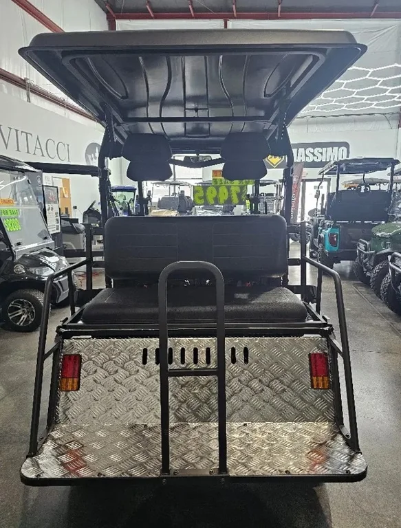 2025 Vitacci Rover 300 EFI photo 8