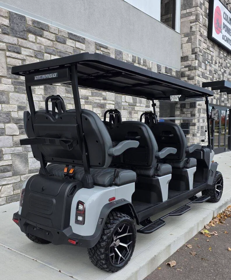 2026 Denago Rover XL 6 Street Legal photo 5