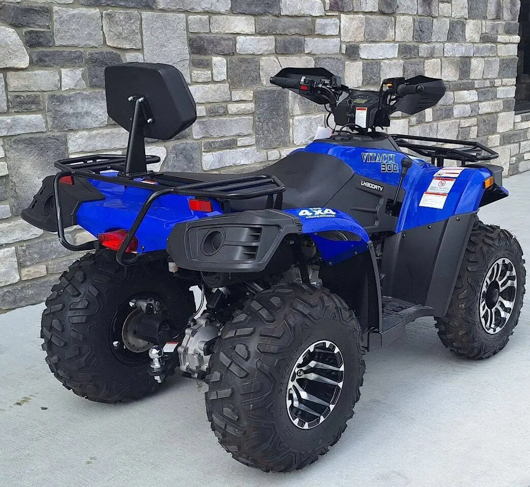 2024 Vitacci Terminator 300 UTV photo 6