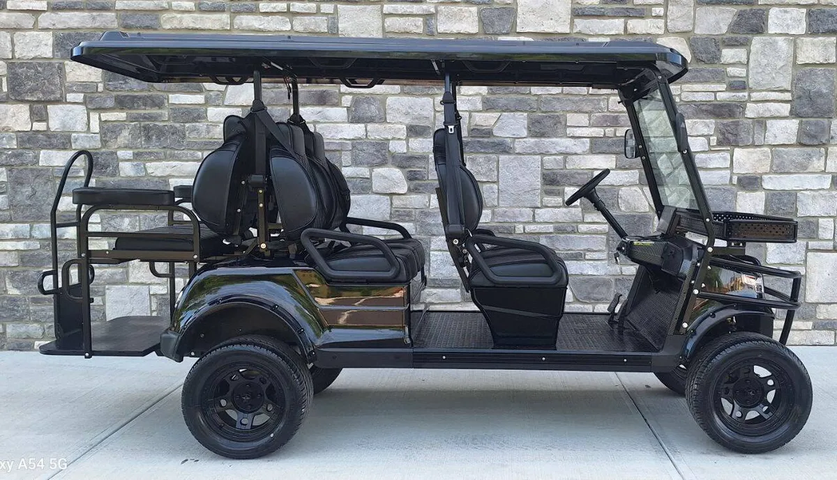2025 Epic Carts E60L Street Legal photo 4