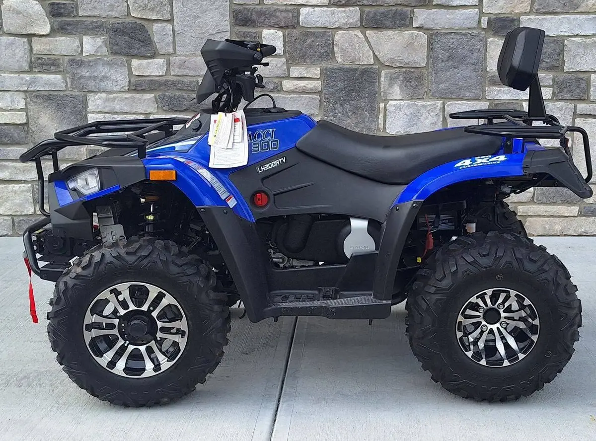 2024 Vitacci Terminator 300 UTV photo 9