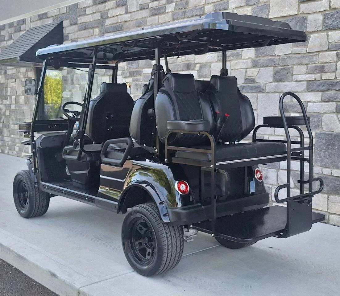 2025 Epic Carts E60L Street Legal photo 8