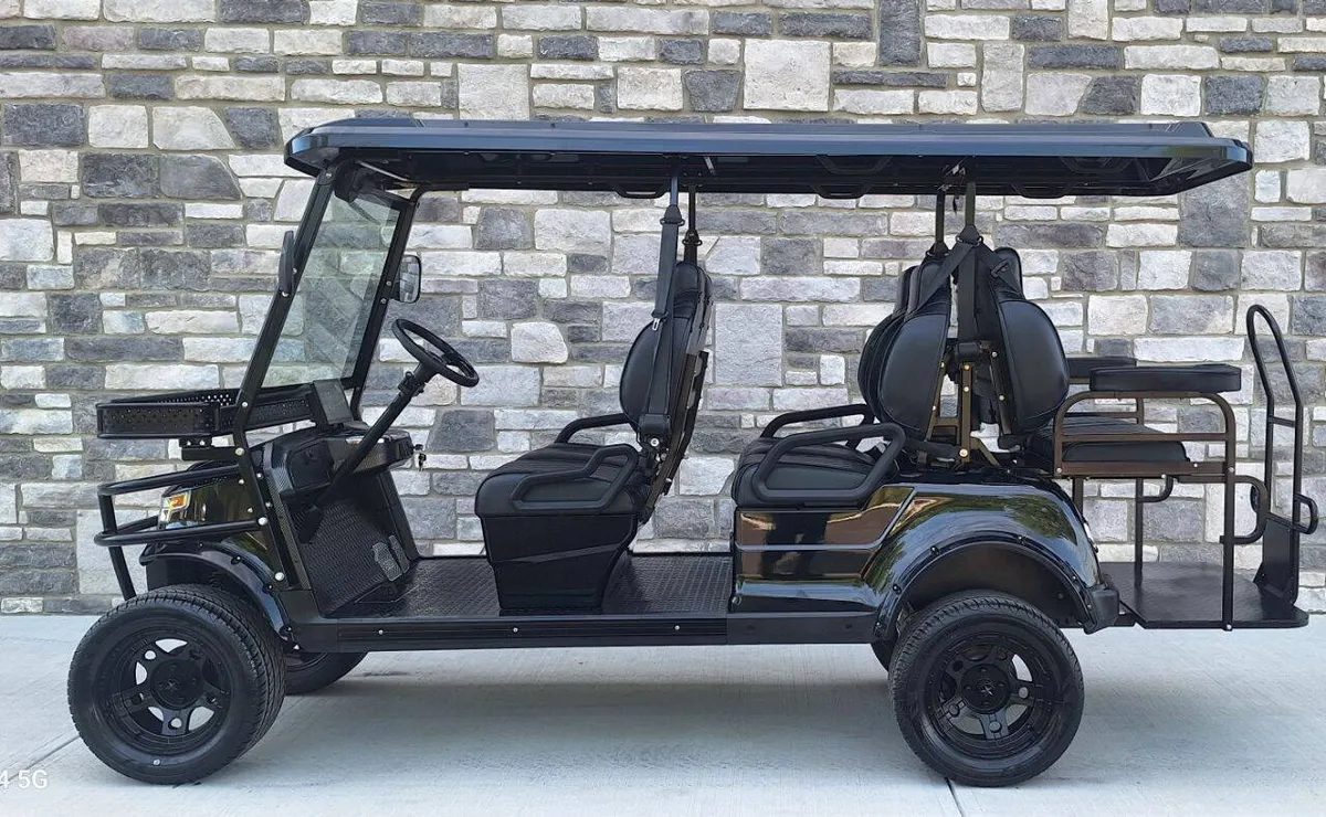 2025 Epic Carts E60L Street Legal photo 9