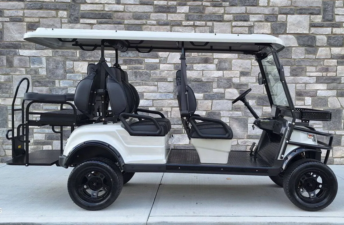 2025 Epic Carts E60L Street Legal photo 4