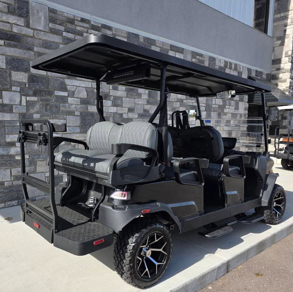 2026 Denago Rover XL 6 Street Legal photo 5