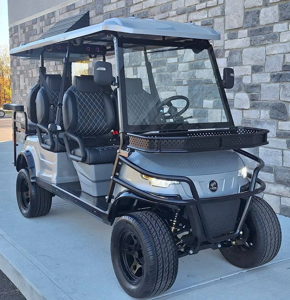 2025 Epic Carts E60L Street Legal photo 3
