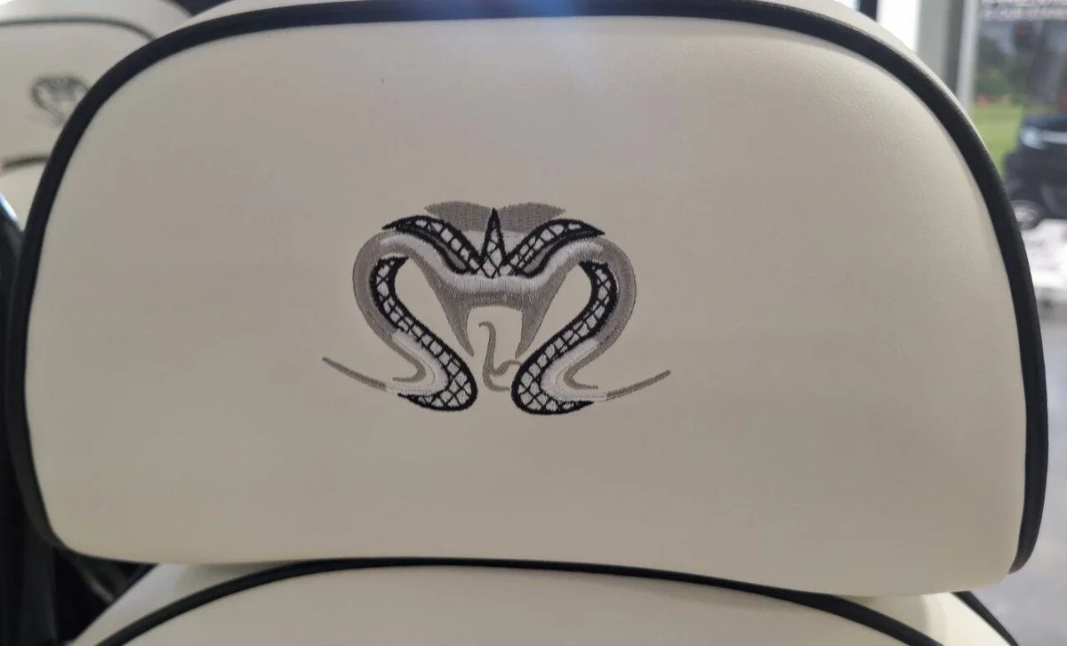 2026 Venom Strike 6 Street Legal photo 10