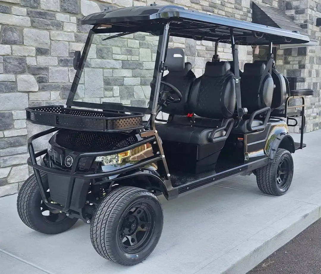 2025 Epic Carts E60L Street Legal photo 1